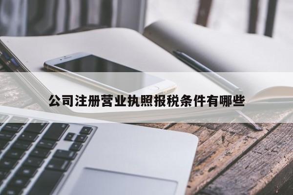 公司注册营业执照报税条件有哪些
