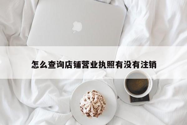 怎么查询店铺营业执照有没有注销