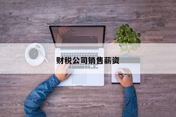 财税公司销售薪资