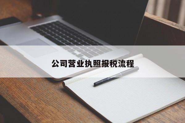 公司营业执照报税流程
