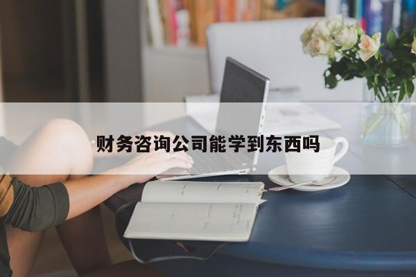 财务咨询公司能学到东西吗