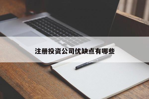 注册投资公司优缺点有哪些