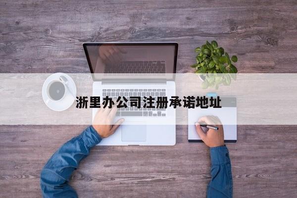 浙里办公司注册承诺地址