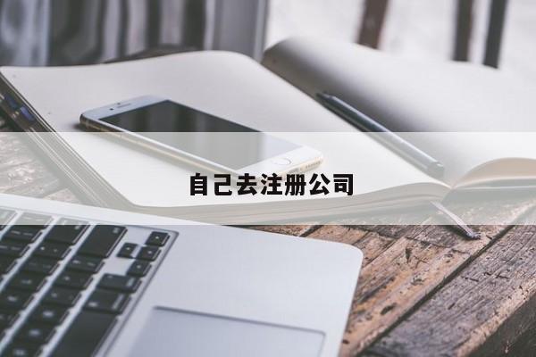 自己去注册公司