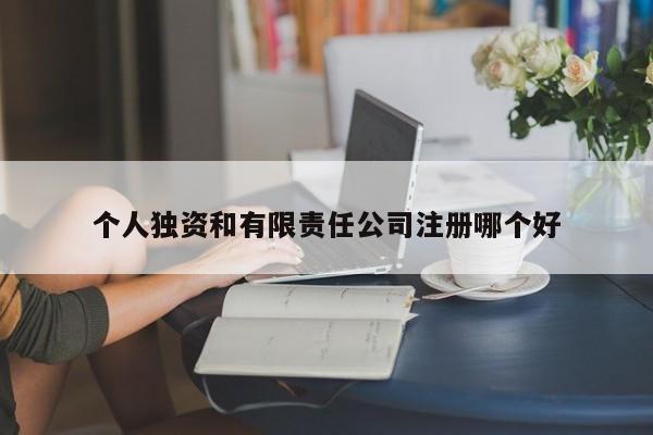 个人独资和有限责任公司注册哪个好