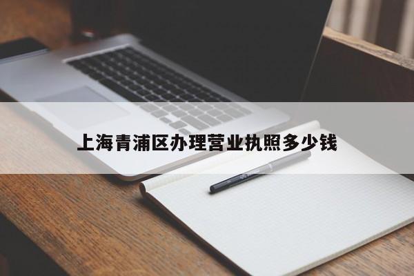 上海青浦区办理营业执照多少钱